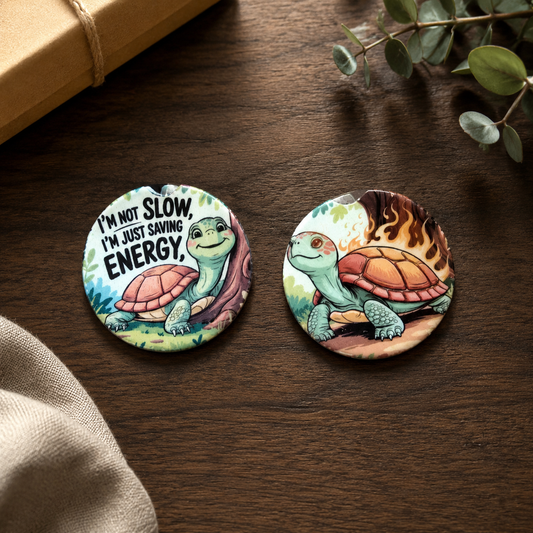 Slow & Steady Turtle Car Coaster Set